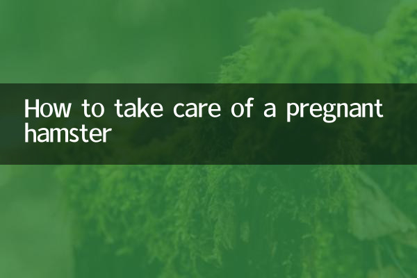 Comment prendre soin d'une hamster enceinte
