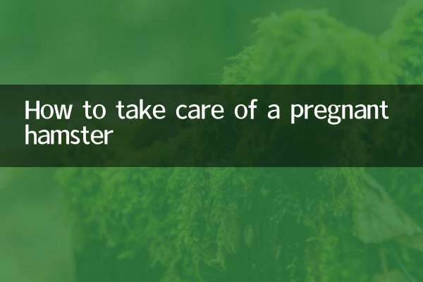 Come prendersi cura di un criceto incinta