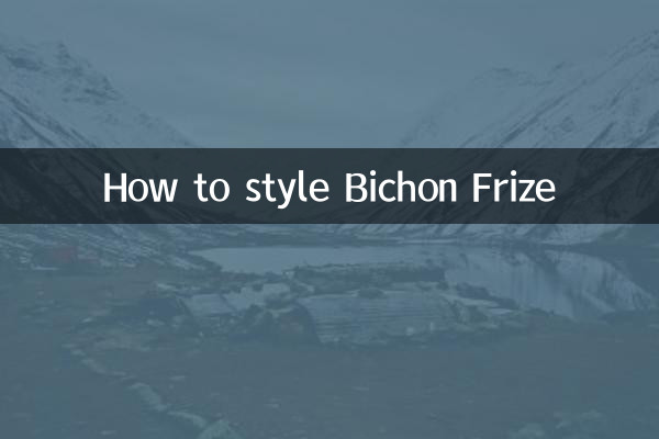 Comment coiffer le Bichon Frise