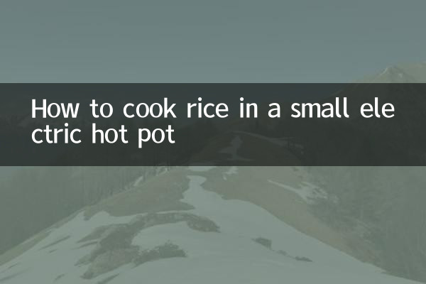小型電気鍋でご飯を炊く方法