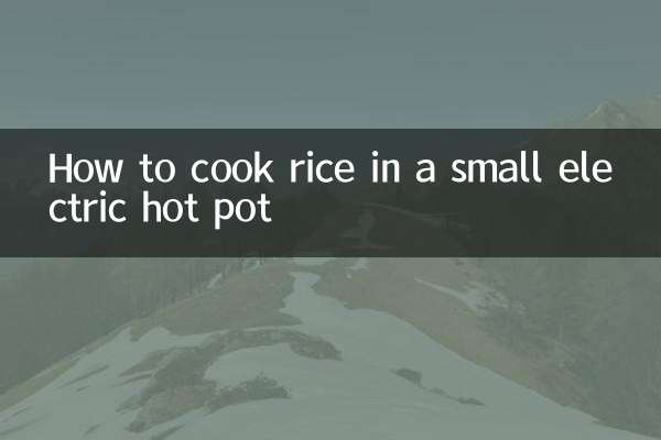 小型電気鍋でご飯を炊く方法