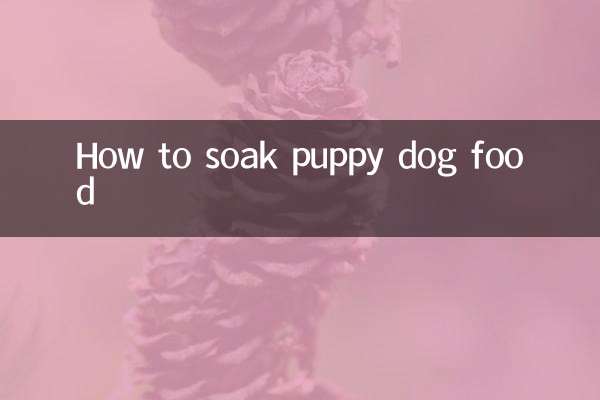 How to soak puppy dog food