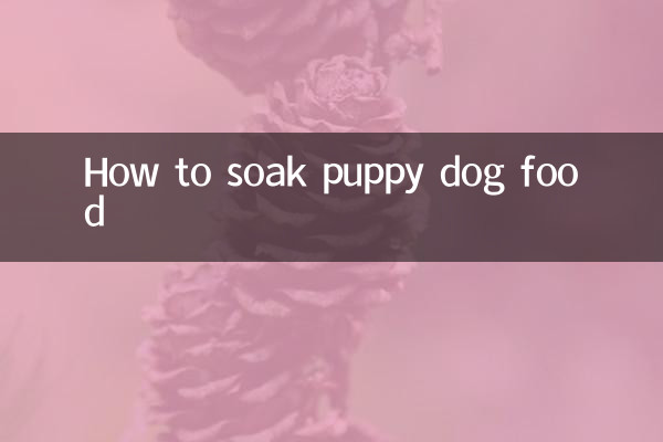 Como molhar a comida de cachorro