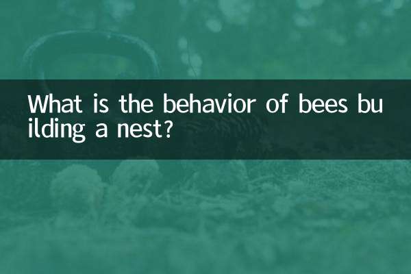 What is the behavior of bees building a nest?