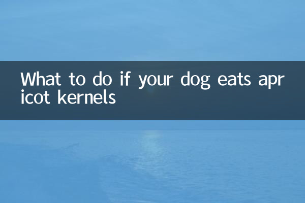 O que fazer se seu cachorro comer caroços de damasco