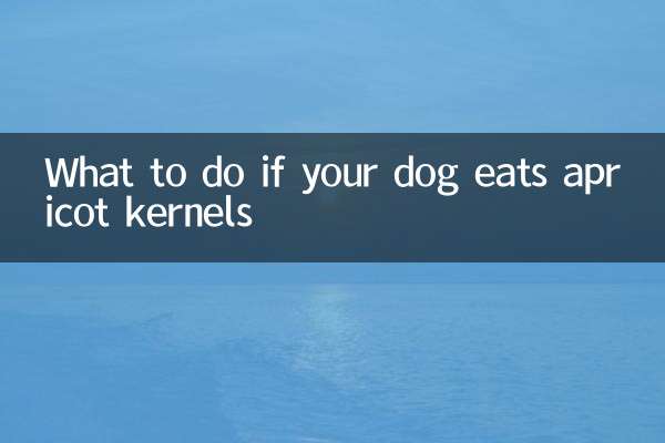 O que fazer se seu cachorro comer caroços de damasco