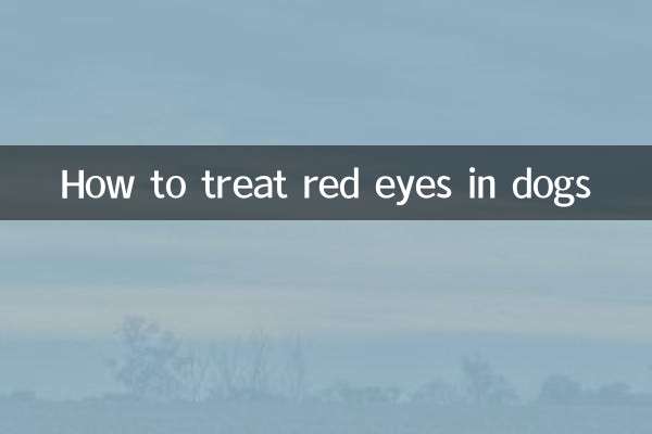 犬の目の充血を治療する方法