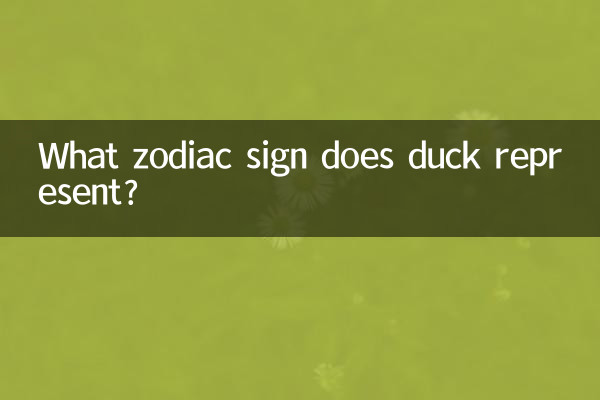 鴨了代表什么生肖