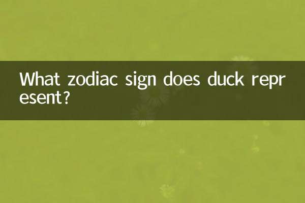 鴨了代表什么生肖