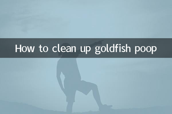 怎麼清理金魚糞便