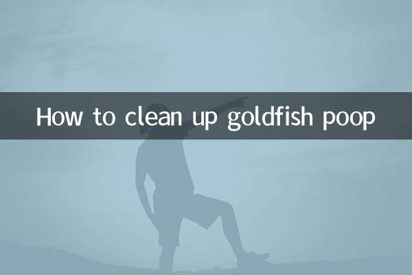 怎麼清理金魚糞便