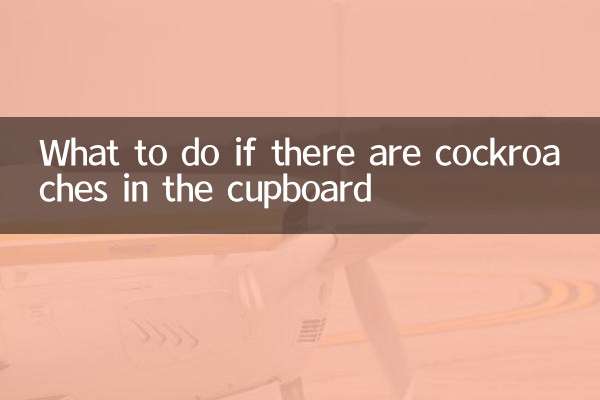 ماذا تفعل إذا كان هناك صراصير في الخزانة