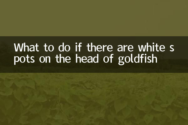 金鱼头上有白点怎么办