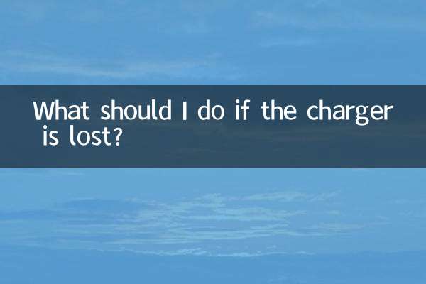 यदि चार्जर खो जाए तो मुझे क्या करना चाहिए?