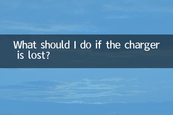 यदि चार्जर खो जाए तो मुझे क्या करना चाहिए?
