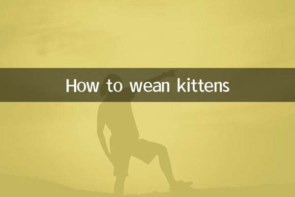 幼猫怎么断奶