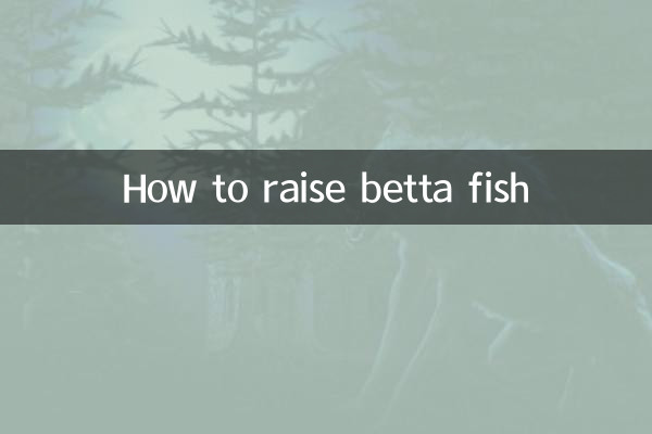 كيفية تربية أسماك البيتا