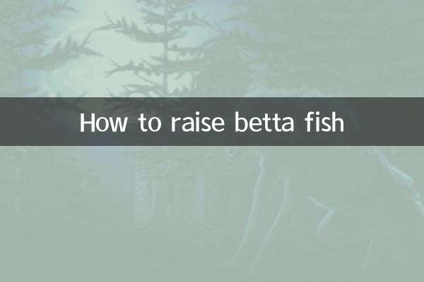 斗鱼应该怎么养