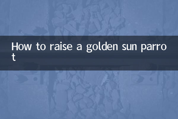 چگونه طوطی خورشید طلایی را پرورش دهیم