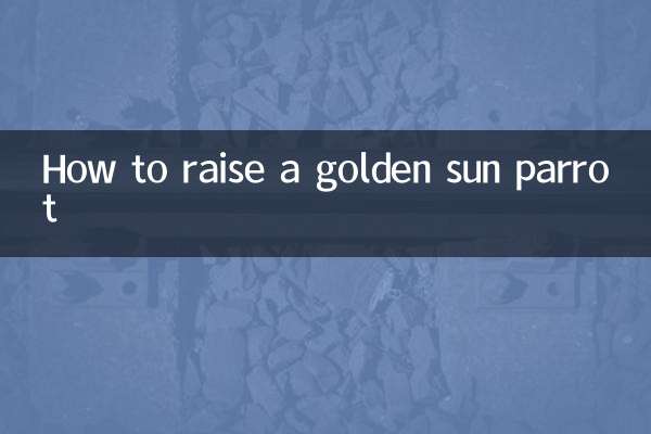 金太陽鸚鵡怎麼養