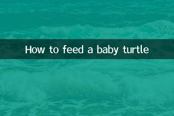 بچے کچھی کو کیسے کھانا کھلانا ہے