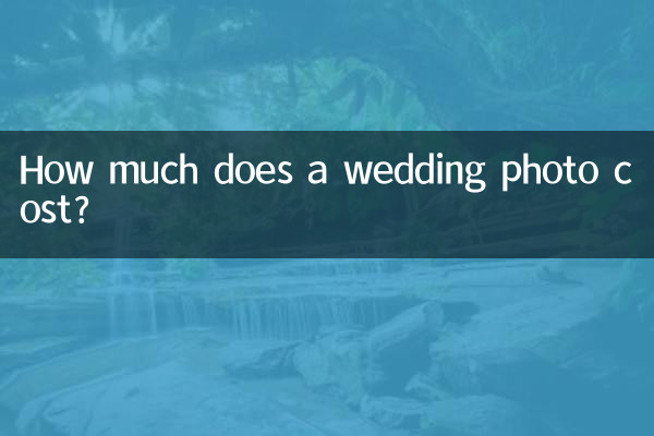 웨딩사진 비용은 얼마인가요?