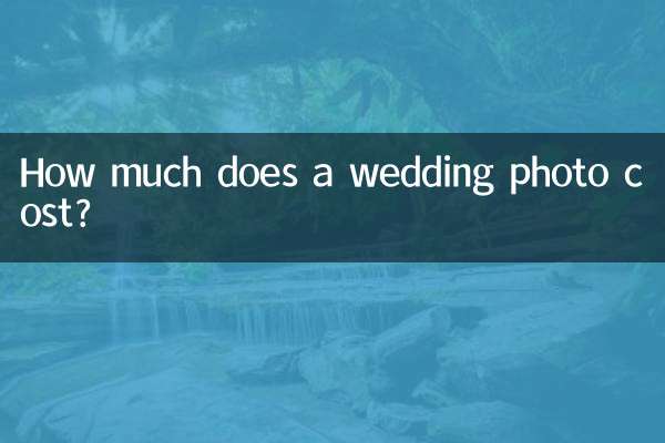 웨딩사진 비용은 얼마인가요?