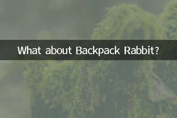 Was ist mit Backpack Rabbit?