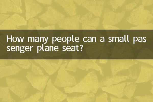 How many people can a small passenger plane seat?
