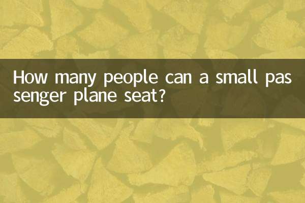 How many people can a small passenger plane seat?