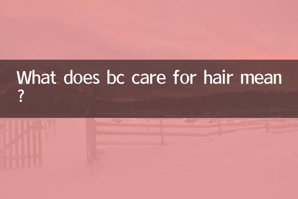bc care for hair은 무슨 뜻인가요?