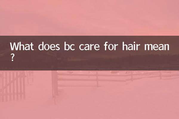 Was bedeutet BC Care for Hair?