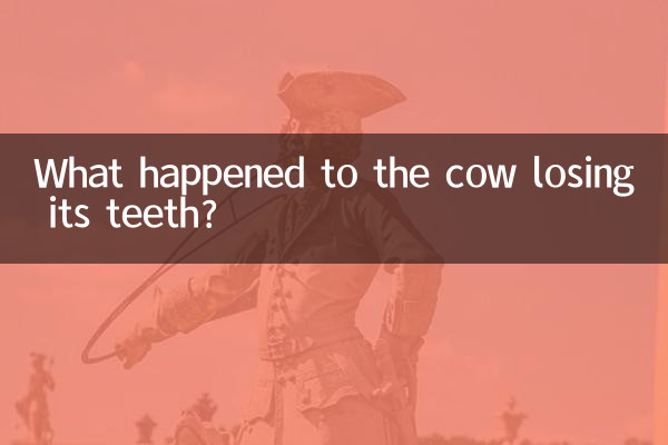 이빨 빠진 소에게 무슨 일이 있었던 걸까요?