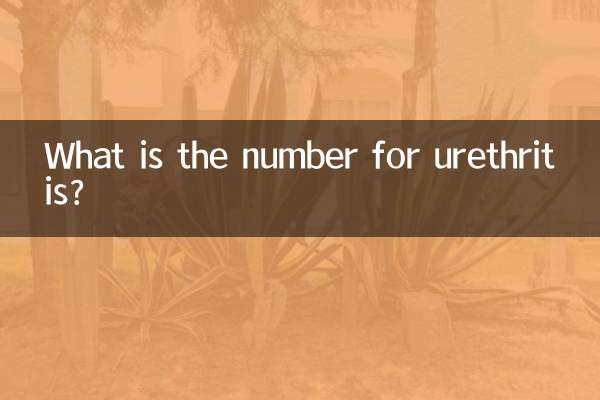 Wie hoch ist die Zahl für Urethritis?