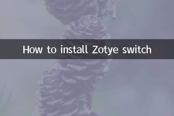 Zotyeスイッチのインストール方法