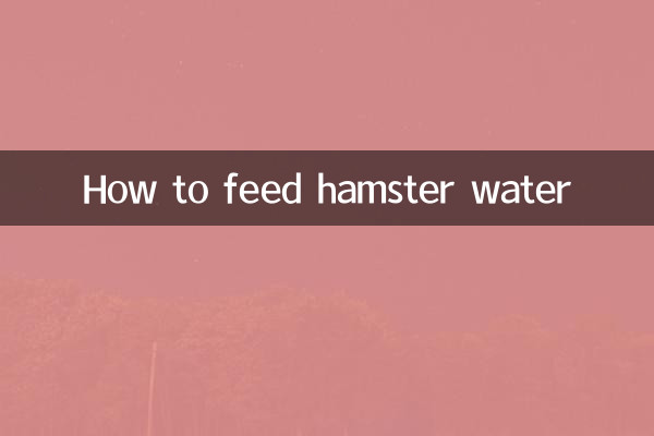 ہیمسٹر پانی کو کیسے کھانا کھلانا ہے