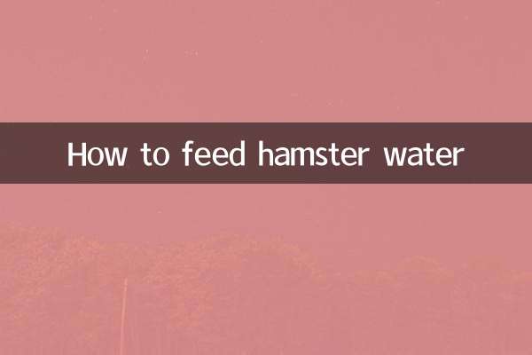 Come nutrire l'acqua del criceto