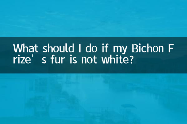 यदि मेरे बिचोन फ़्रीज़ का फर सफ़ेद नहीं है तो मुझे क्या करना चाहिए?