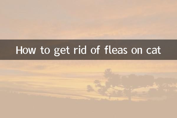怎麼去掉貓身上的跳蚤