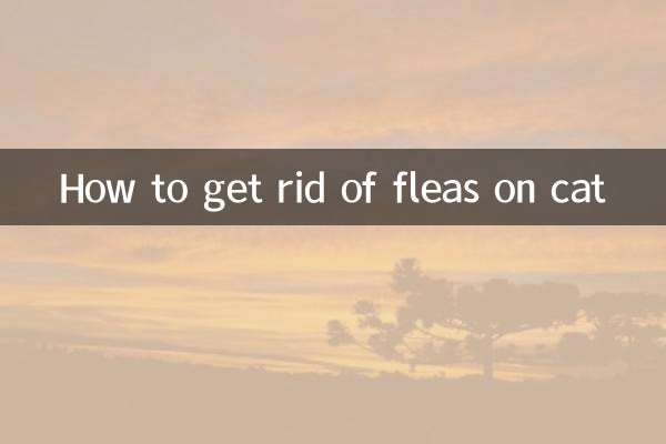 چگونه از شر کک روی گربه خلاص شویم