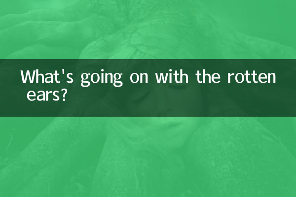 পচা কান দিয়ে কি হচ্ছে?