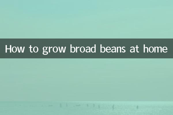 How to grow broad beans at home