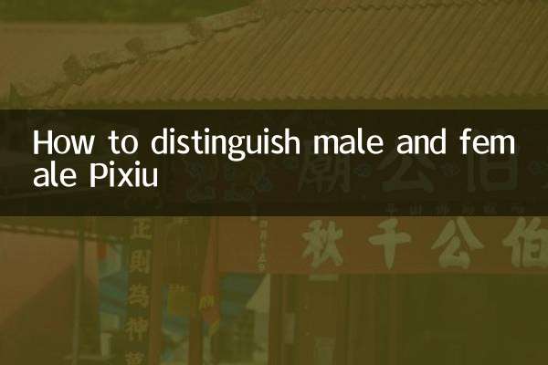 How to distinguish male and female Pixiu