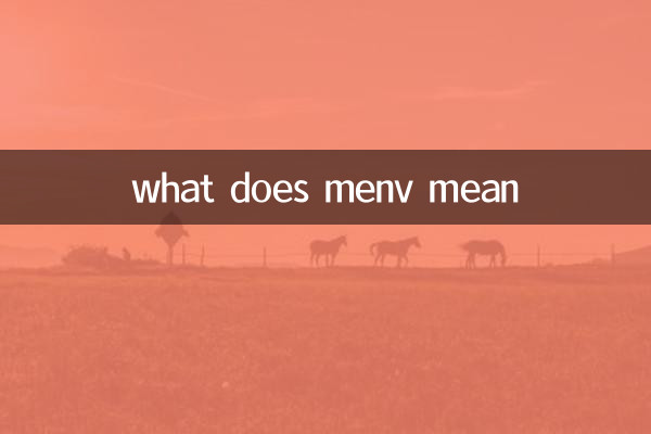 o que significa menv