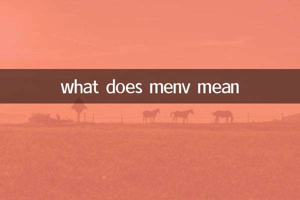 menv মানে কি?