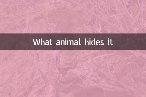 Ce que l'animal le cache