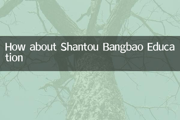 How about Shantou Bangbao Education