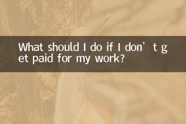 ¿Qué debo hacer si no me pagan por mi trabajo?