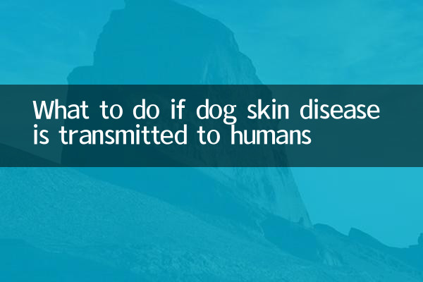 در صورت انتقال بیماری پوستی سگ به انسان چه باید کرد؟