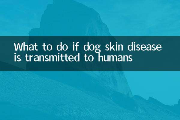 در صورت انتقال بیماری پوستی سگ به انسان چه باید کرد؟